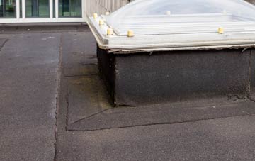 disadvantages of Coalhall flat roofs
