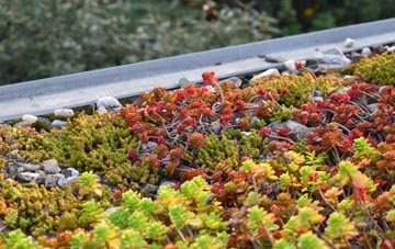 the cost of Coalhall green roof installation