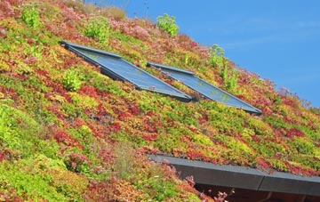 Coalhall living roof systems